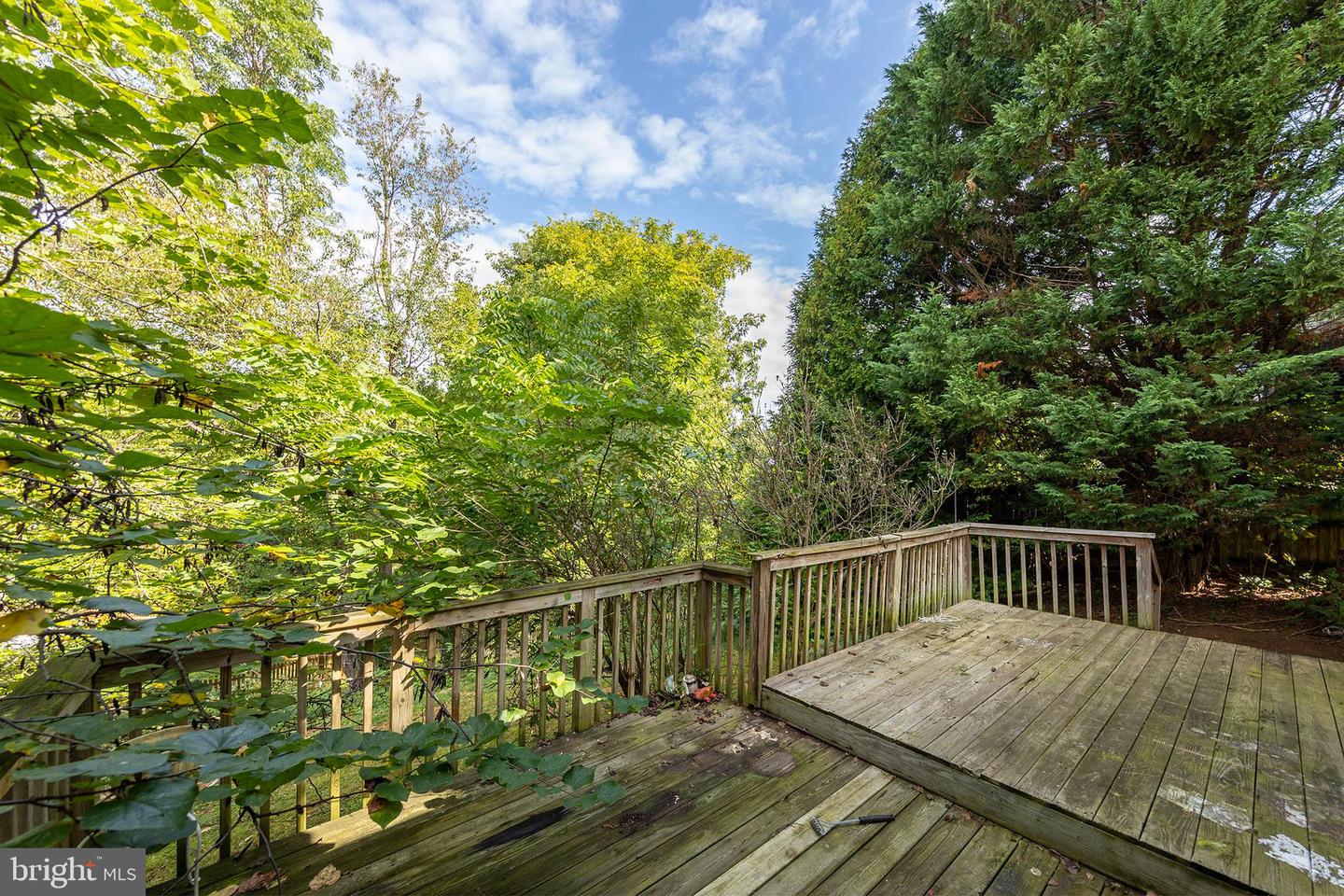 1422 CANTERBURY RD, FRONT ROYAL, Virginia 22630, 3 Bedrooms Bedrooms, ,2 BathroomsBathrooms,Residential,For sale,1422 CANTERBURY RD,VAWR2012394 MLS # VAWR2012394 1422 CANTERBURY RD, FRONT ROYAL, Virginia 22630, 3 Bedrooms Bedrooms, ,2 BathroomsBathrooms,Residential,For sale,1422 CANTERBURY RD,VAWR2012394 MLS # VAWR2012394