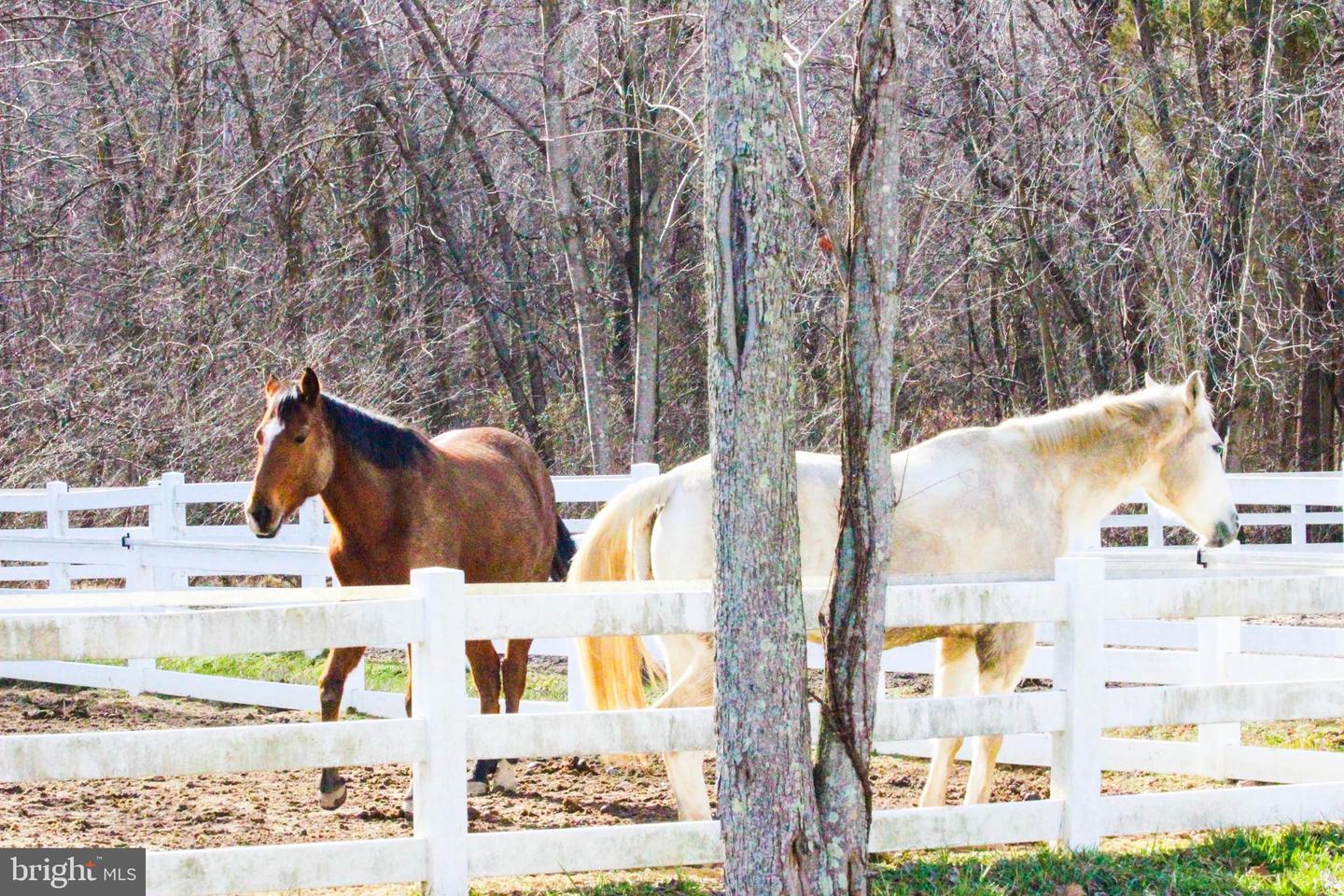 2161 AQUIA DR, STAFFORD, Virginia 22554, 4 Bedrooms Bedrooms, ,3 BathroomsBathrooms,Residential,For sale,2161 AQUIA DR,VAST2043278 MLS # VAST2043278 2161 AQUIA DR, STAFFORD, Virginia 22554, 4 Bedrooms Bedrooms, ,3 BathroomsBathrooms,Residential,For sale,2161 AQUIA DR,VAST2043278 MLS # VAST2043278