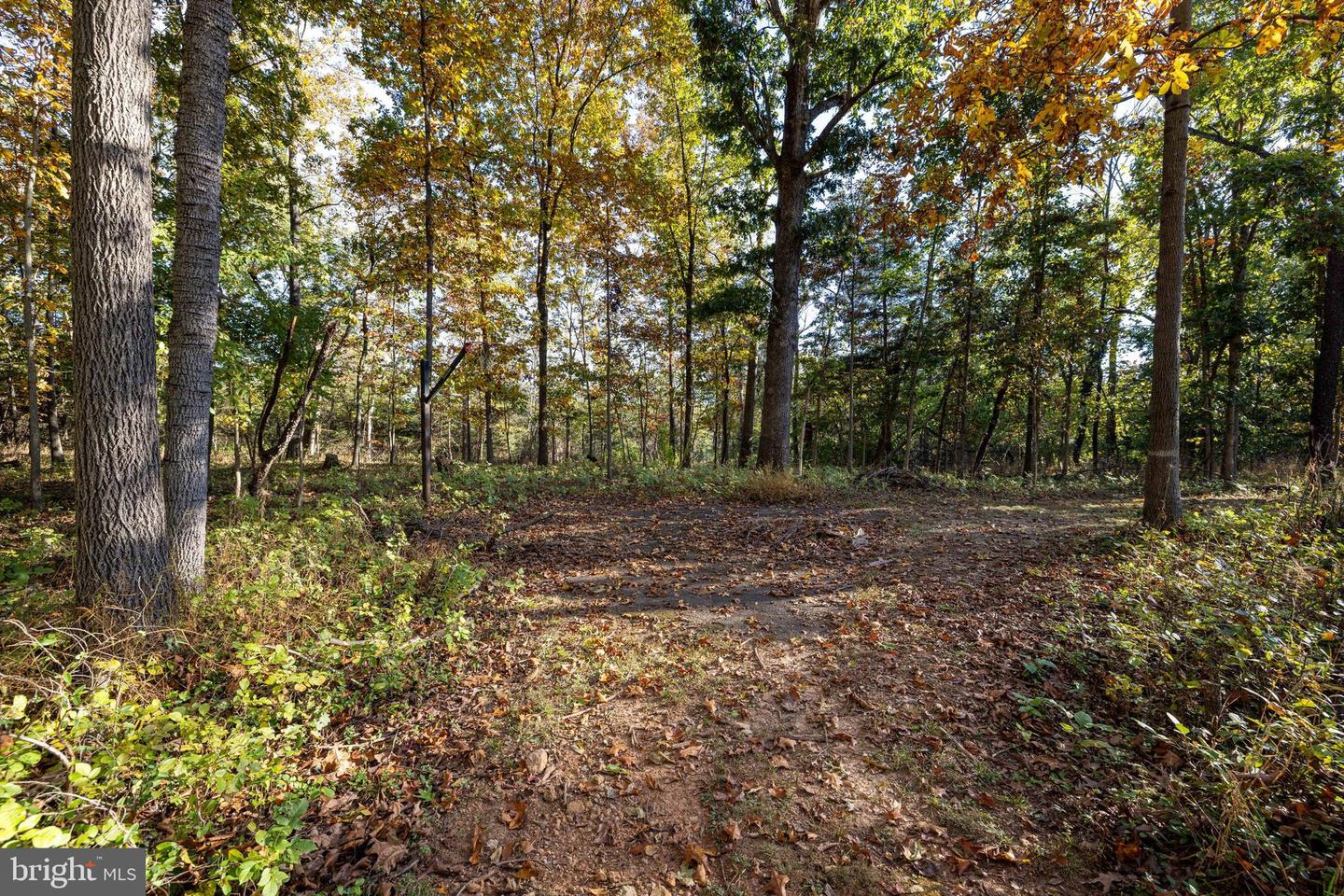 480 MONT VIEW LN, LURAY, Virginia 22835, 3 Bedrooms Bedrooms, ,2 BathroomsBathrooms,Residential,For sale,480 MONT VIEW LN,VAPA2005456 MLS # VAPA2005456 480 MONT VIEW LN, LURAY, Virginia 22835, 3 Bedrooms Bedrooms, ,2 BathroomsBathrooms,Residential,For sale,480 MONT VIEW LN,VAPA2005456 MLS # VAPA2005456