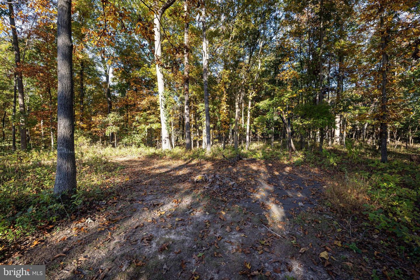 480 MONT VIEW LN, LURAY, Virginia 22835, 3 Bedrooms Bedrooms, ,2 BathroomsBathrooms,Residential,For sale,480 MONT VIEW LN,VAPA2005456 MLS # VAPA2005456 480 MONT VIEW LN, LURAY, Virginia 22835, 3 Bedrooms Bedrooms, ,2 BathroomsBathrooms,Residential,For sale,480 MONT VIEW LN,VAPA2005456 MLS # VAPA2005456