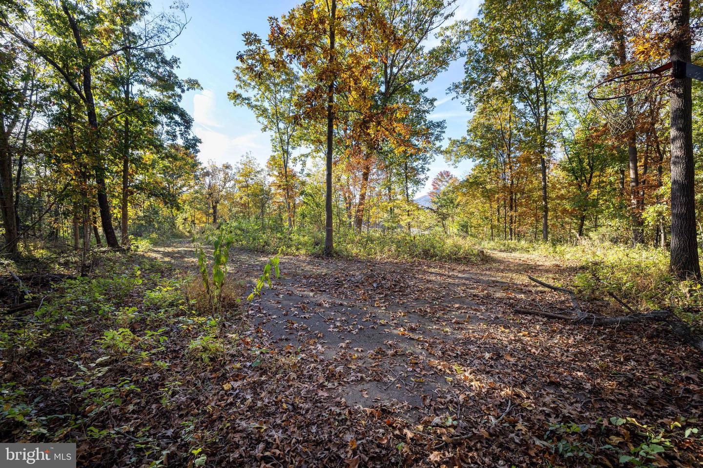 480 MONT VIEW LN, LURAY, Virginia 22835, 3 Bedrooms Bedrooms, ,2 BathroomsBathrooms,Residential,For sale,480 MONT VIEW LN,VAPA2005456 MLS # VAPA2005456 480 MONT VIEW LN, LURAY, Virginia 22835, 3 Bedrooms Bedrooms, ,2 BathroomsBathrooms,Residential,For sale,480 MONT VIEW LN,VAPA2005456 MLS # VAPA2005456