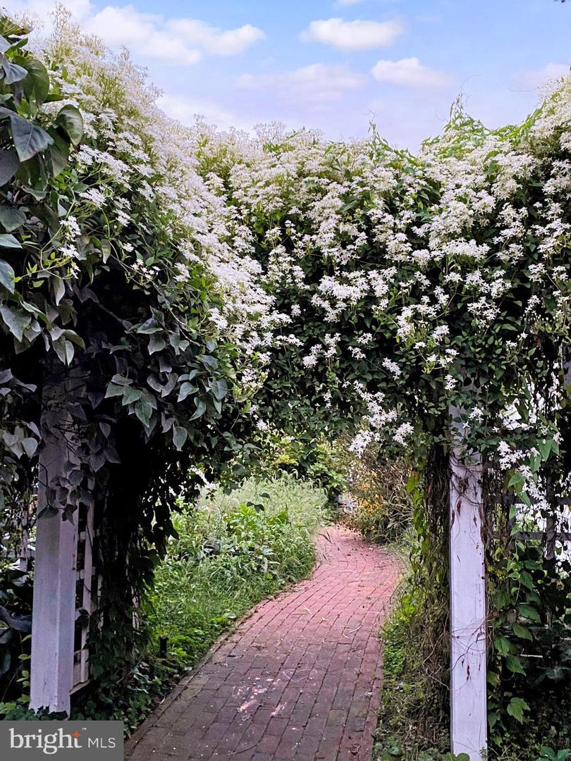 222 WIRT ST NW, LEESBURG, Virginia 20176, 3 Bedrooms Bedrooms, ,2 BathroomsBathrooms,Residential,For sale,222 WIRT ST NW,VALO2108224 MLS # VALO2108224 222 WIRT ST NW, LEESBURG, Virginia 20176, 3 Bedrooms Bedrooms, ,2 BathroomsBathrooms,Residential,For sale,222 WIRT ST NW,VALO2108224 MLS # VALO2108224