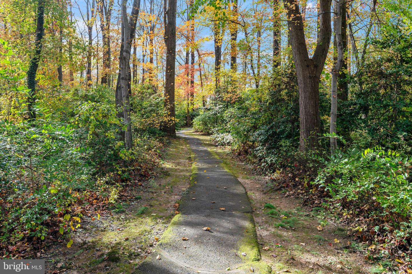 12098 ANTLER CT, FAIRFAX, Virginia 22030, 3 Bedrooms Bedrooms, ,2 BathroomsBathrooms,Residential,For sale,12098 ANTLER CT,VAFX2274040 MLS # VAFX2274040 12098 ANTLER CT, FAIRFAX, Virginia 22030, 3 Bedrooms Bedrooms, ,2 BathroomsBathrooms,Residential,For sale,12098 ANTLER CT,VAFX2274040 MLS # VAFX2274040