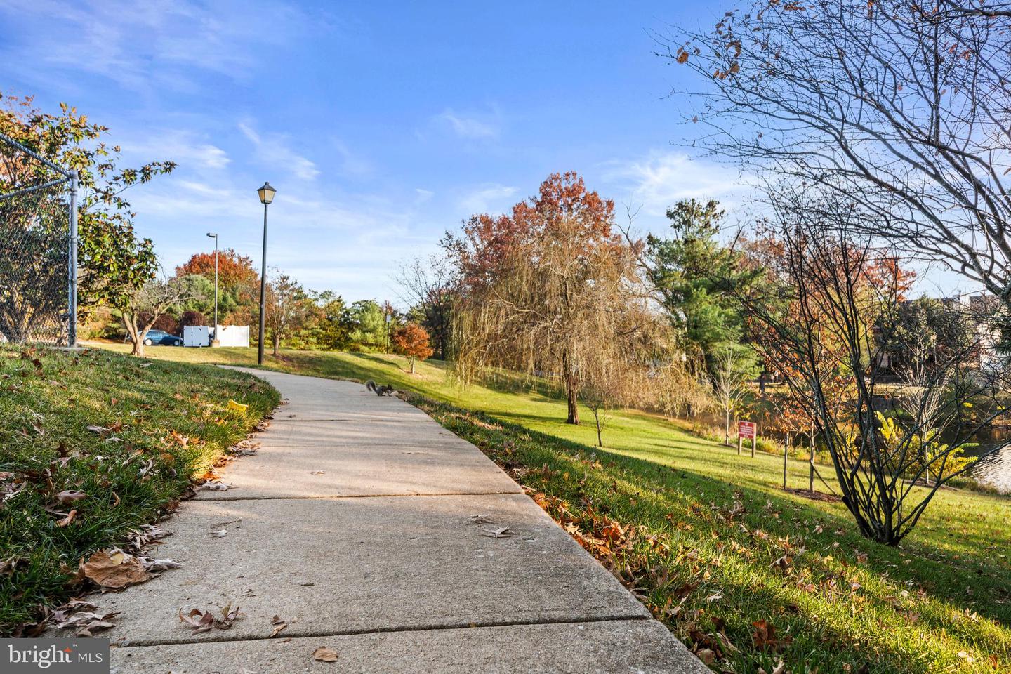 6017-B CURTIER DR #B, ALEXANDRIA, Virginia 22310, 2 Bedrooms Bedrooms, ,2 BathroomsBathrooms,Residential,For sale,6017-B CURTIER DR #B,VAFX2274046 MLS # VAFX2274046 6017-B CURTIER DR #B, ALEXANDRIA, Virginia 22310, 2 Bedrooms Bedrooms, ,2 BathroomsBathrooms,Residential,For sale,6017-B CURTIER DR #B,VAFX2274046 MLS # VAFX2274046