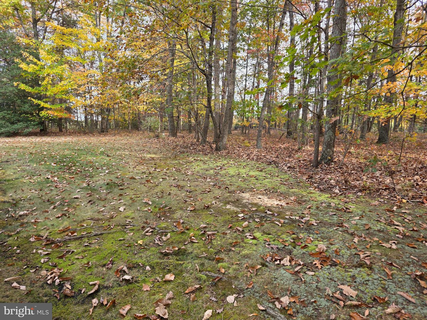 31380 PAYNES FARM, LOCUST GROVE, Virginia 22508, 3 Bedrooms Bedrooms, 12 Rooms Rooms,2 BathroomsBathrooms,Residential,For sale,31380 PAYNES FARM,VAOR2012568 MLS # VAOR2012568 31380 PAYNES FARM, LOCUST GROVE, Virginia 22508, 3 Bedrooms Bedrooms, 12 Rooms Rooms,2 BathroomsBathrooms,Residential,For sale,31380 PAYNES FARM,VAOR2012568 MLS # VAOR2012568