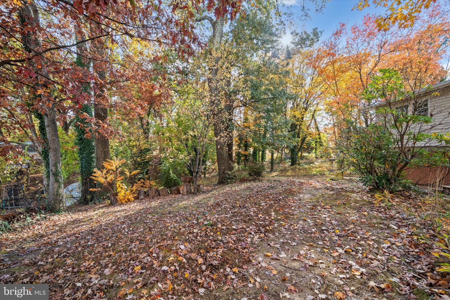 6419 CHARNWOOD ST, SPRINGFIELD, Virginia 22152, 5 Bedrooms Bedrooms, ,2 BathroomsBathrooms,Residential,For sale,6419 CHARNWOOD ST,VAFX2275108 MLS # VAFX2275108 6419 CHARNWOOD ST, SPRINGFIELD, Virginia 22152, 5 Bedrooms Bedrooms, ,2 BathroomsBathrooms,Residential,For sale,6419 CHARNWOOD ST,VAFX2275108 MLS # VAFX2275108