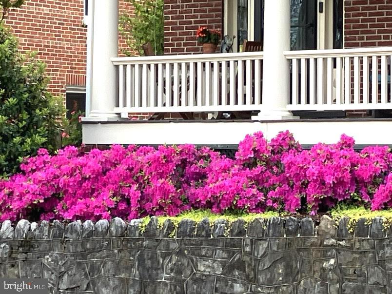 400 HANDLEY AVE, WINCHESTER, Virginia 22601, 3 Bedrooms Bedrooms, ,2 BathroomsBathrooms,Residential,For sale,400 HANDLEY AVE,VAWI2009308 MLS # VAWI2009308 400 HANDLEY AVE, WINCHESTER, Virginia 22601, 3 Bedrooms Bedrooms, ,2 BathroomsBathrooms,Residential,For sale,400 HANDLEY AVE,VAWI2009308 MLS # VAWI2009308