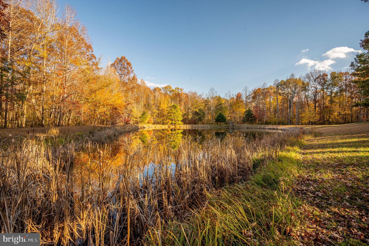 10325 MILL POND RD, SPOTSYLVANIA, Virginia 22551, 3 Bedrooms Bedrooms, 5 Rooms Rooms,2 BathroomsBathrooms,Residential,For sale,10325 MILL POND RD,VASP2037240 MLS # VASP2037240 10325 MILL POND RD, SPOTSYLVANIA, Virginia 22551, 3 Bedrooms Bedrooms, 5 Rooms Rooms,2 BathroomsBathrooms,Residential,For sale,10325 MILL POND RD,VASP2037240 MLS # VASP2037240