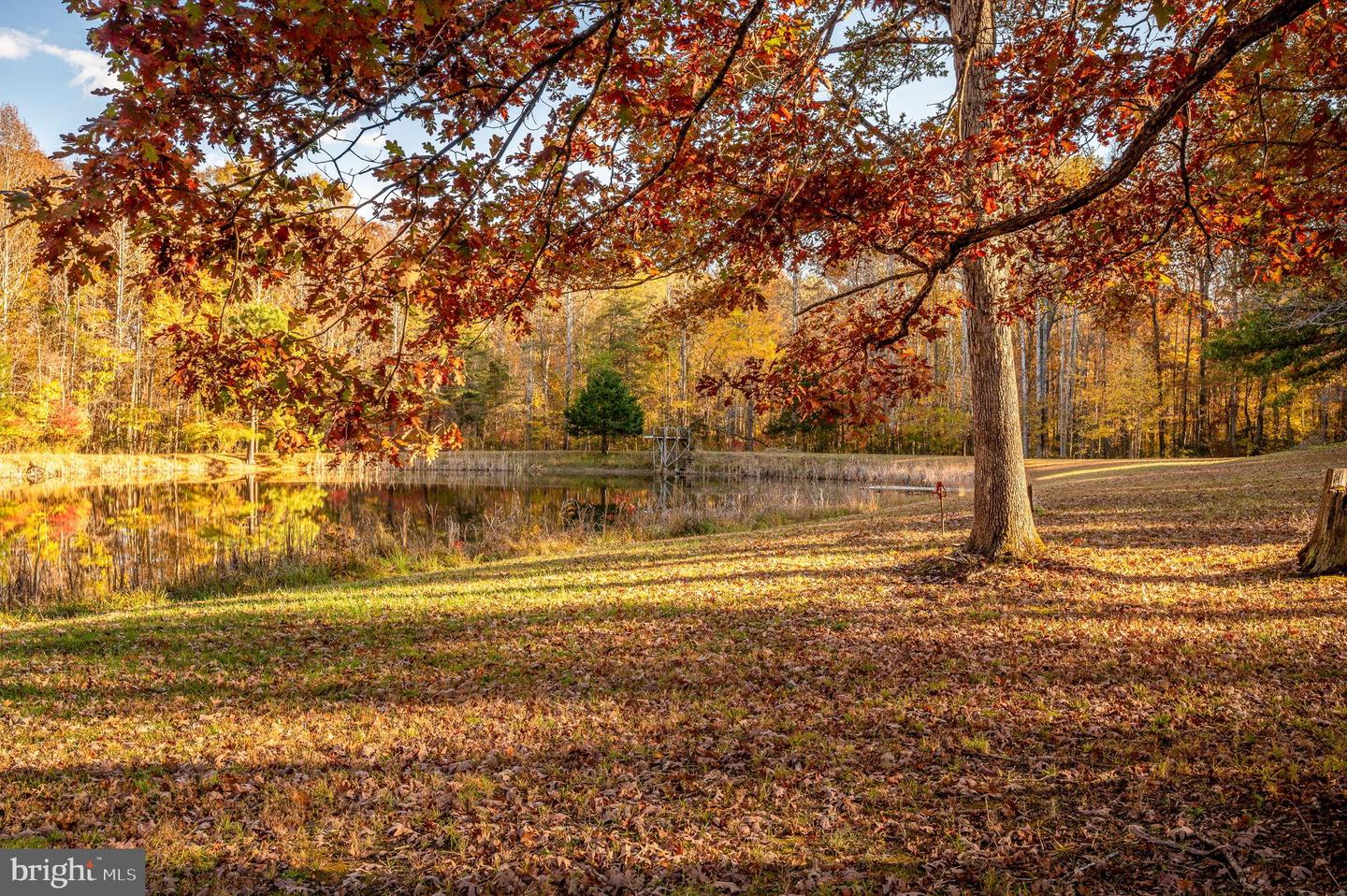 10325 MILL POND RD, SPOTSYLVANIA, Virginia 22551, 3 Bedrooms Bedrooms, 5 Rooms Rooms,2 BathroomsBathrooms,Residential,For sale,10325 MILL POND RD,VASP2037240 MLS # VASP2037240 10325 MILL POND RD, SPOTSYLVANIA, Virginia 22551, 3 Bedrooms Bedrooms, 5 Rooms Rooms,2 BathroomsBathrooms,Residential,For sale,10325 MILL POND RD,VASP2037240 MLS # VASP2037240