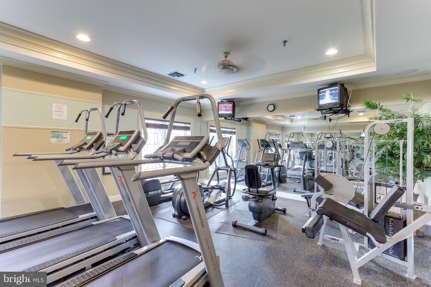 4862 EISENHOWER AVE #458, ALEXANDRIA, Virginia 22304, 1 Bedroom Bedrooms, ,1 BathroomBathrooms,Residential,For sale,4862 EISENHOWER AVE #458,VAAX2051198 MLS # VAAX2051198 4862 EISENHOWER AVE #458, ALEXANDRIA, Virginia 22304, 1 Bedroom Bedrooms, ,1 BathroomBathrooms,Residential,For sale,4862 EISENHOWER AVE #458,VAAX2051198 MLS # VAAX2051198