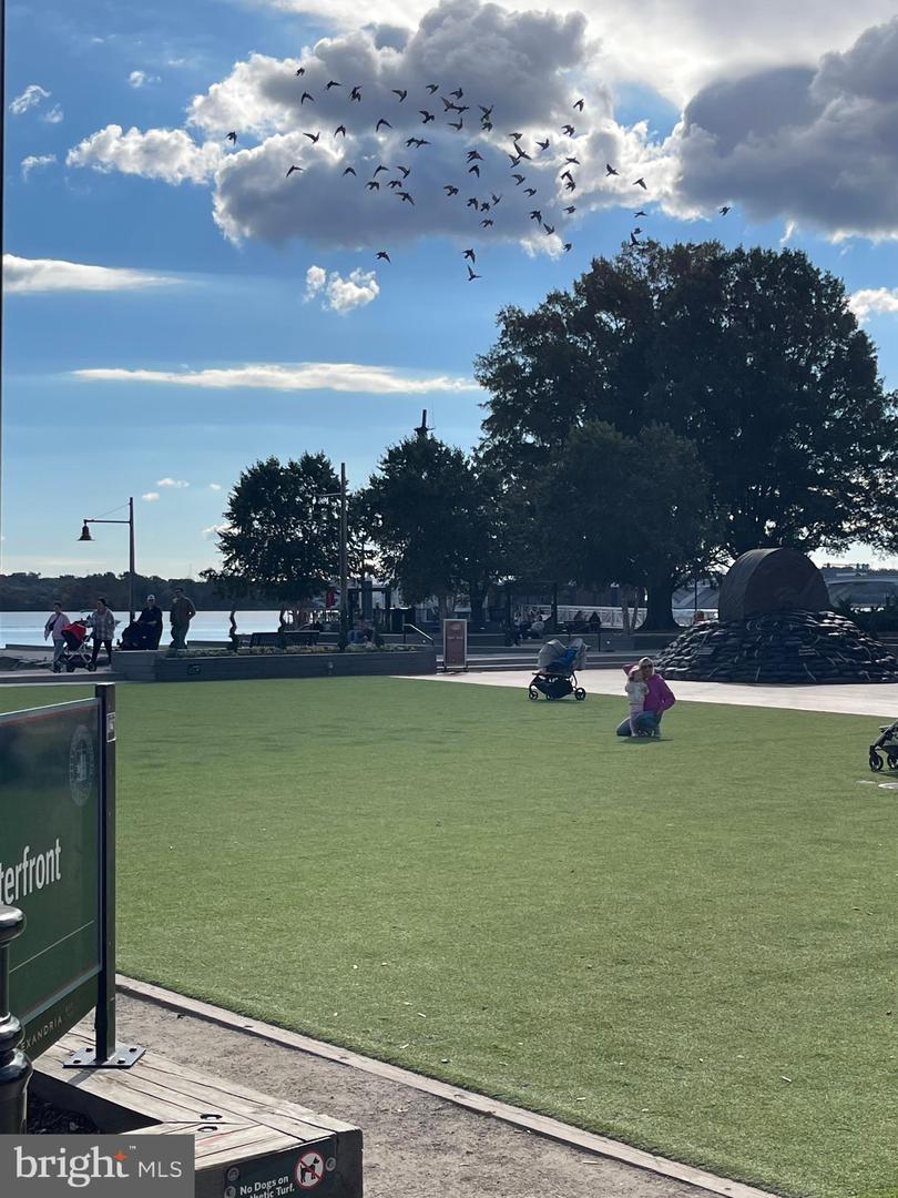 2151 JAMIESON AVE #601, ALEXANDRIA, Virginia 22314, 2 Bedrooms Bedrooms, ,2 BathroomsBathrooms,Residential,For sale,2151 JAMIESON AVE #601,VAAX2051204 MLS # VAAX2051204 2151 JAMIESON AVE #601, ALEXANDRIA, Virginia 22314, 2 Bedrooms Bedrooms, ,2 BathroomsBathrooms,Residential,For sale,2151 JAMIESON AVE #601,VAAX2051204 MLS # VAAX2051204