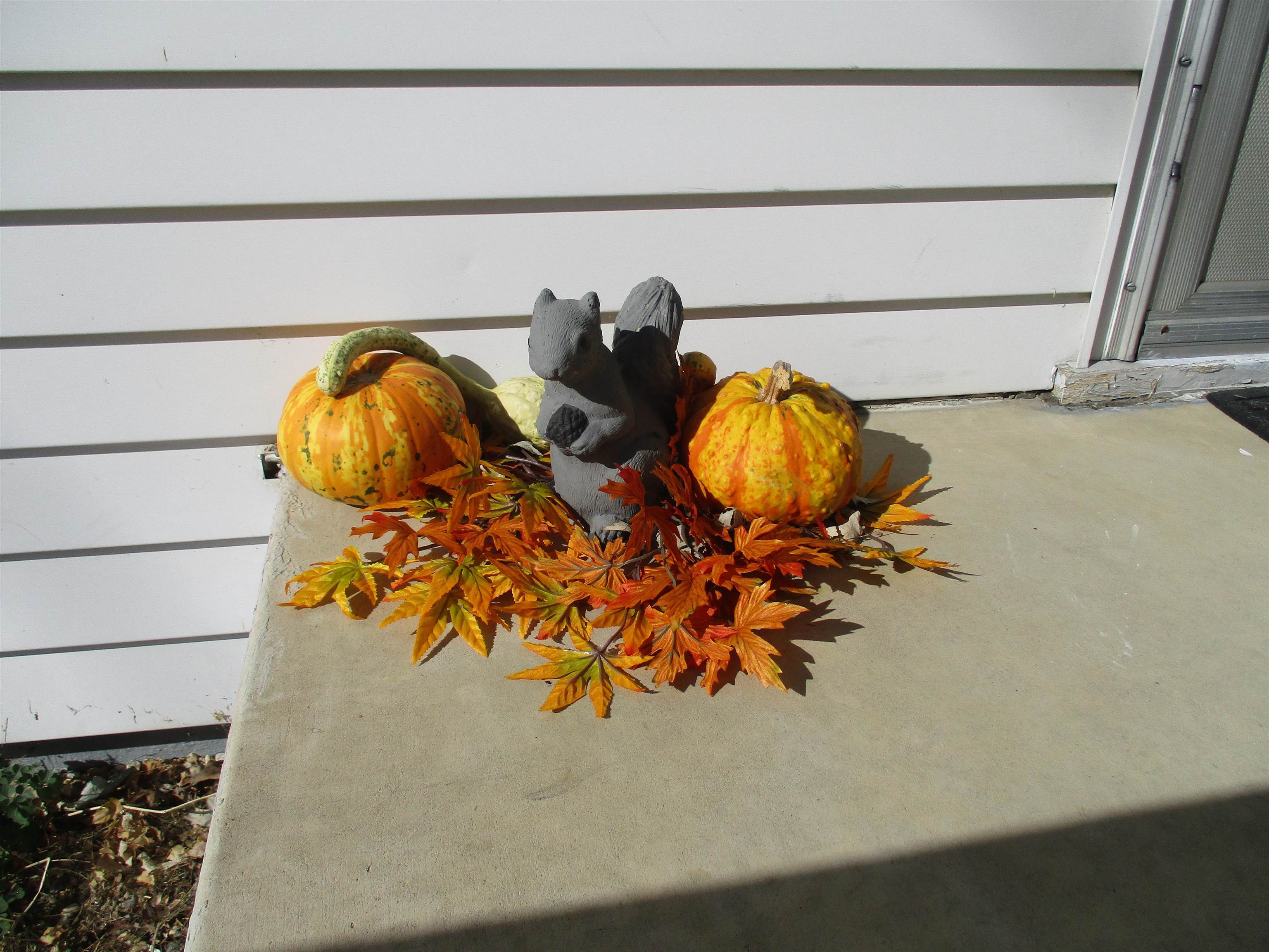 181 BELLEVUE ST, TIMBERVILLE, Virginia 22853, 3 Bedrooms Bedrooms, ,1 BathroomBathrooms,Residential,181 BELLEVUE ST,670786 MLS # 670786 181 BELLEVUE ST, TIMBERVILLE, Virginia 22853, 3 Bedrooms Bedrooms, ,1 BathroomBathrooms,Residential,181 BELLEVUE ST,670786 MLS # 670786