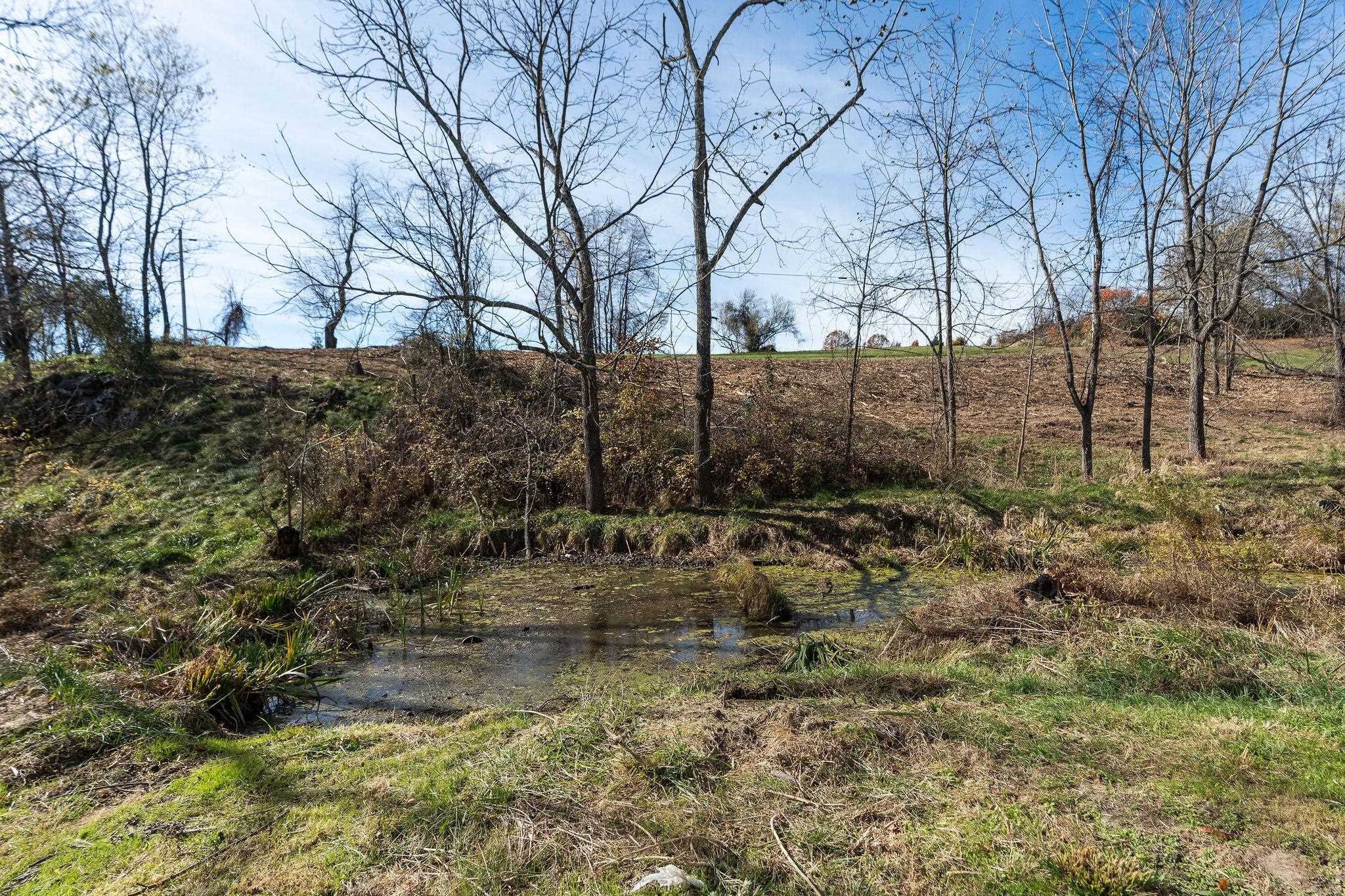 5818 LEE JACKSON HWY, GREENVILLE, Virginia 24440, 3 Bedrooms Bedrooms, ,2 BathroomsBathrooms,Residential,5818 LEE JACKSON HWY,670788 MLS # 670788 5818 LEE JACKSON HWY, GREENVILLE, Virginia 24440, 3 Bedrooms Bedrooms, ,2 BathroomsBathrooms,Residential,5818 LEE JACKSON HWY,670788 MLS # 670788