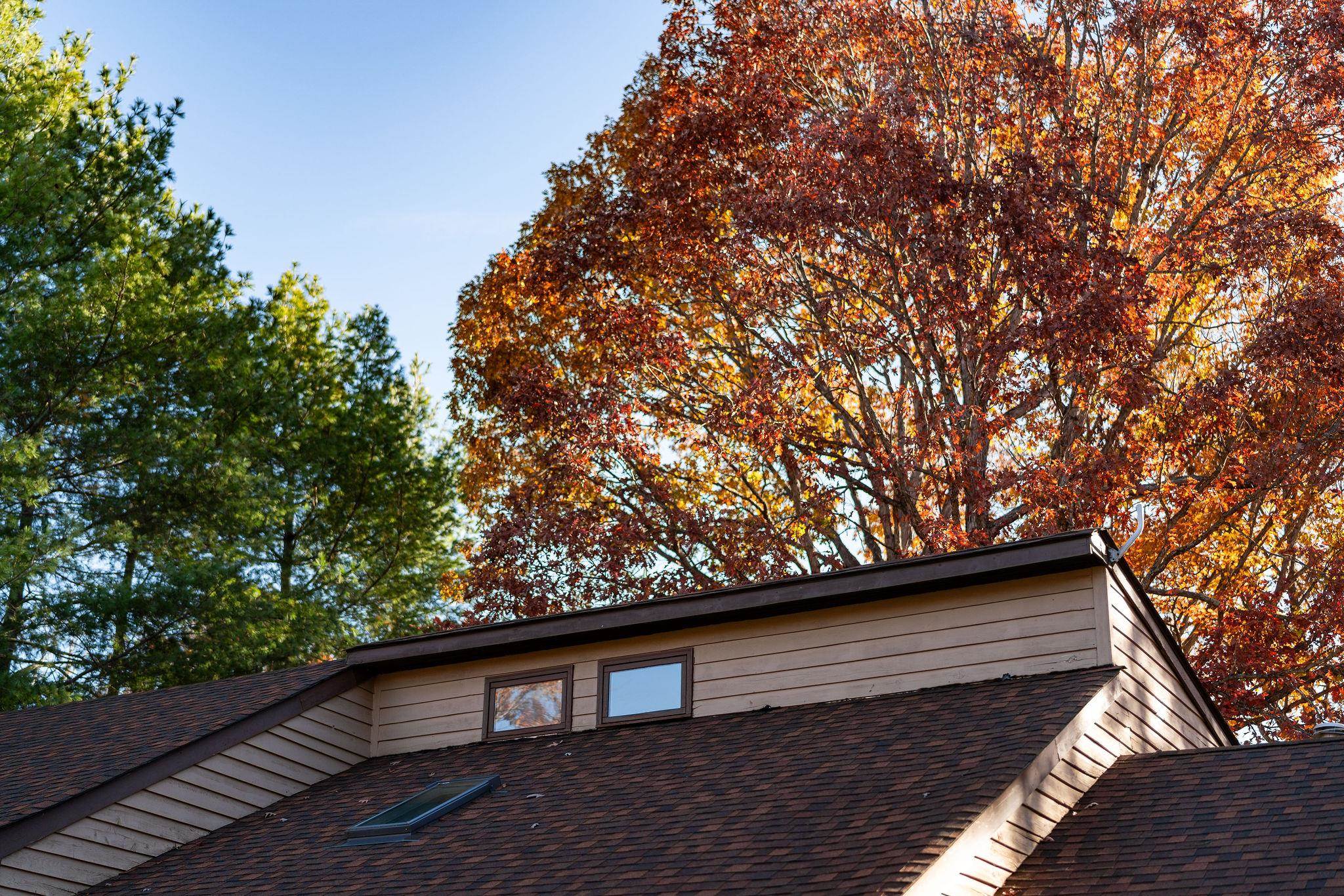 150 FALLING ROCK DR, STUARTS DRAFT, Virginia 24477, 3 Bedrooms Bedrooms, ,2 BathroomsBathrooms,Residential,150 FALLING ROCK DR,670784 MLS # 670784 150 FALLING ROCK DR, STUARTS DRAFT, Virginia 24477, 3 Bedrooms Bedrooms, ,2 BathroomsBathrooms,Residential,150 FALLING ROCK DR,670784 MLS # 670784