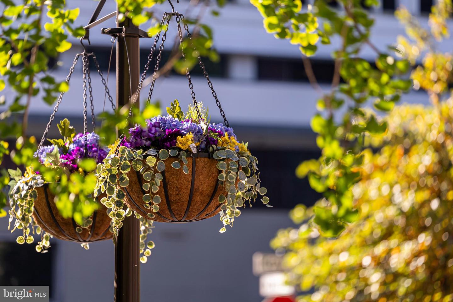 1881 N NASH ST #210, ARLINGTON, Virginia 22209, 2 Bedrooms Bedrooms, ,2 BathroomsBathrooms,Residential,For sale,1881 N NASH ST #210,VAAR2065602 MLS # VAAR2065602 1881 N NASH ST #210, ARLINGTON, Virginia 22209, 2 Bedrooms Bedrooms, ,2 BathroomsBathrooms,Residential,For sale,1881 N NASH ST #210,VAAR2065602 MLS # VAAR2065602