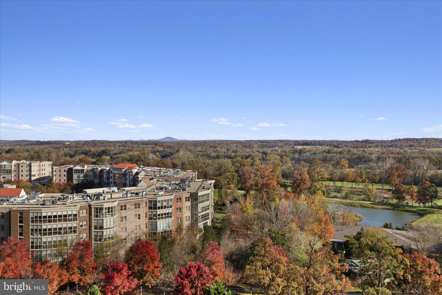 19385 CYPRESS RIDGE TER #907, LEESBURG, Virginia 20176, 1 Bedroom Bedrooms, ,1 BathroomBathrooms,Residential,For sale,19385 CYPRESS RIDGE TER #907,VALO2110086 MLS # VALO2110086 19385 CYPRESS RIDGE TER #907, LEESBURG, Virginia 20176, 1 Bedroom Bedrooms, ,1 BathroomBathrooms,Residential,For sale,19385 CYPRESS RIDGE TER #907,VALO2110086 MLS # VALO2110086