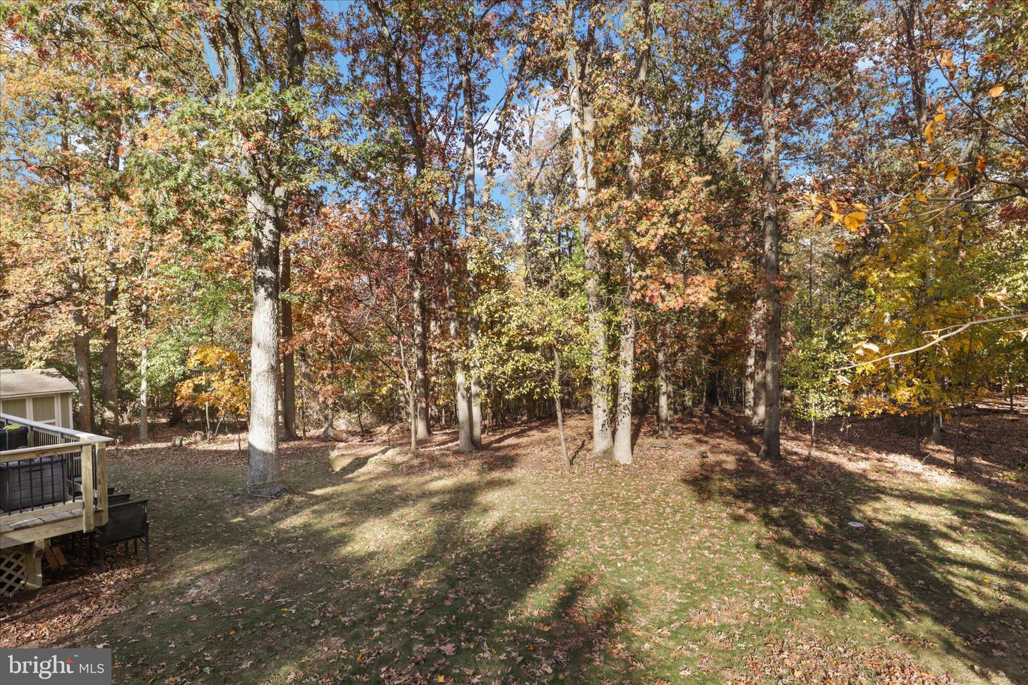 2325 S BUCHANAN ST, ARLINGTON, Virginia 22206, 4 Bedrooms Bedrooms, ,3 BathroomsBathrooms,Residential,For sale,2325 S BUCHANAN ST,VAAR2065614 MLS # VAAR2065614 2325 S BUCHANAN ST, ARLINGTON, Virginia 22206, 4 Bedrooms Bedrooms, ,3 BathroomsBathrooms,Residential,For sale,2325 S BUCHANAN ST,VAAR2065614 MLS # VAAR2065614