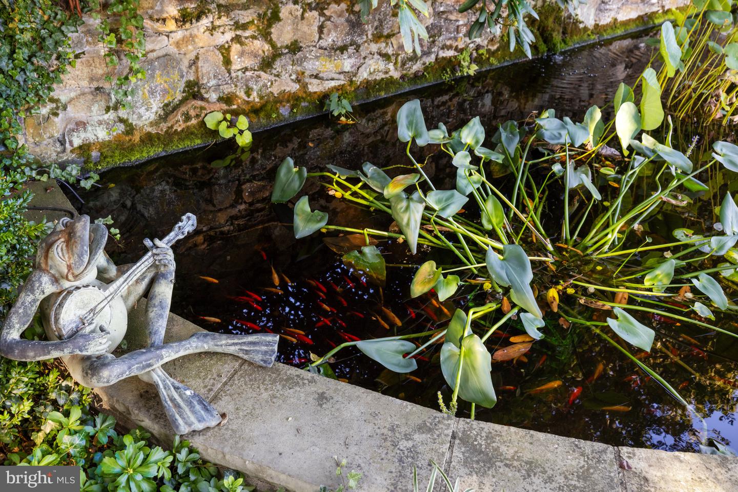 22857 CARTERS FARM LN, MIDDLEBURG, Virginia 20117, 3 Bedrooms Bedrooms, ,2 BathroomsBathrooms,Residential,For sale,22857 CARTERS FARM LN,VALO2110358 MLS # VALO2110358 22857 CARTERS FARM LN, MIDDLEBURG, Virginia 20117, 3 Bedrooms Bedrooms, ,2 BathroomsBathrooms,Residential,For sale,22857 CARTERS FARM LN,VALO2110358 MLS # VALO2110358