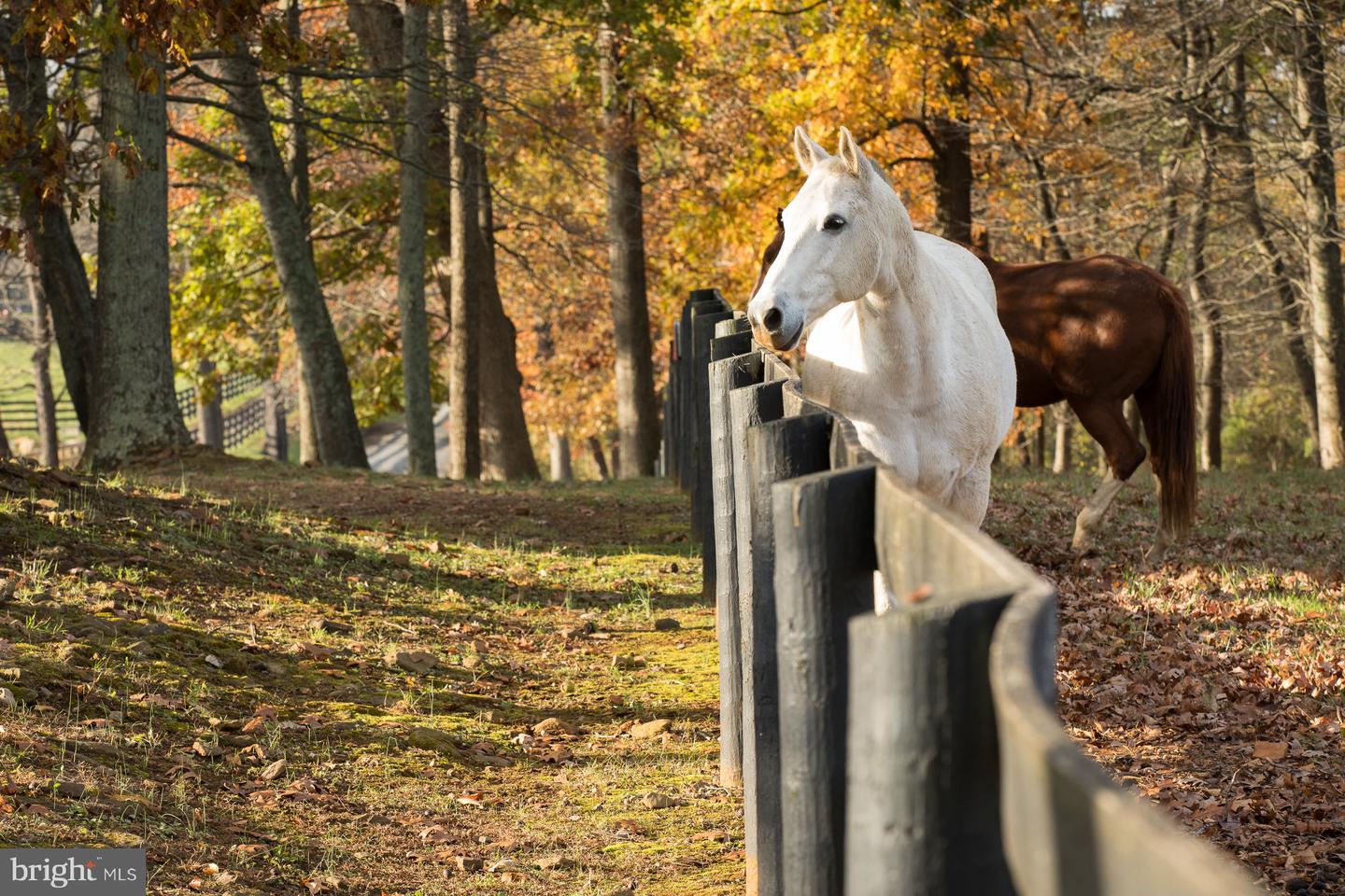 22857 CARTERS FARM LN, MIDDLEBURG, Virginia 20117, 3 Bedrooms Bedrooms, ,2 BathroomsBathrooms,Residential,For sale,22857 CARTERS FARM LN,VALO2110358 MLS # VALO2110358 22857 CARTERS FARM LN, MIDDLEBURG, Virginia 20117, 3 Bedrooms Bedrooms, ,2 BathroomsBathrooms,Residential,For sale,22857 CARTERS FARM LN,VALO2110358 MLS # VALO2110358