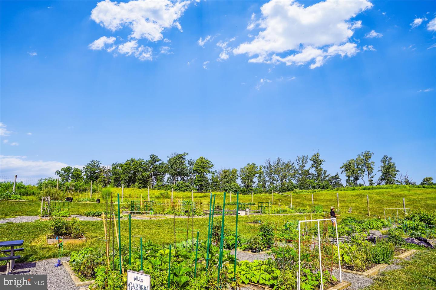 2073 ALDER LN, DUMFRIES, Virginia 22026, 3 Bedrooms Bedrooms, ,2 BathroomsBathrooms,Residential,For sale,2073 ALDER LN,VAPW2107162 MLS # VAPW2107162 2073 ALDER LN, DUMFRIES, Virginia 22026, 3 Bedrooms Bedrooms, ,2 BathroomsBathrooms,Residential,For sale,2073 ALDER LN,VAPW2107162 MLS # VAPW2107162