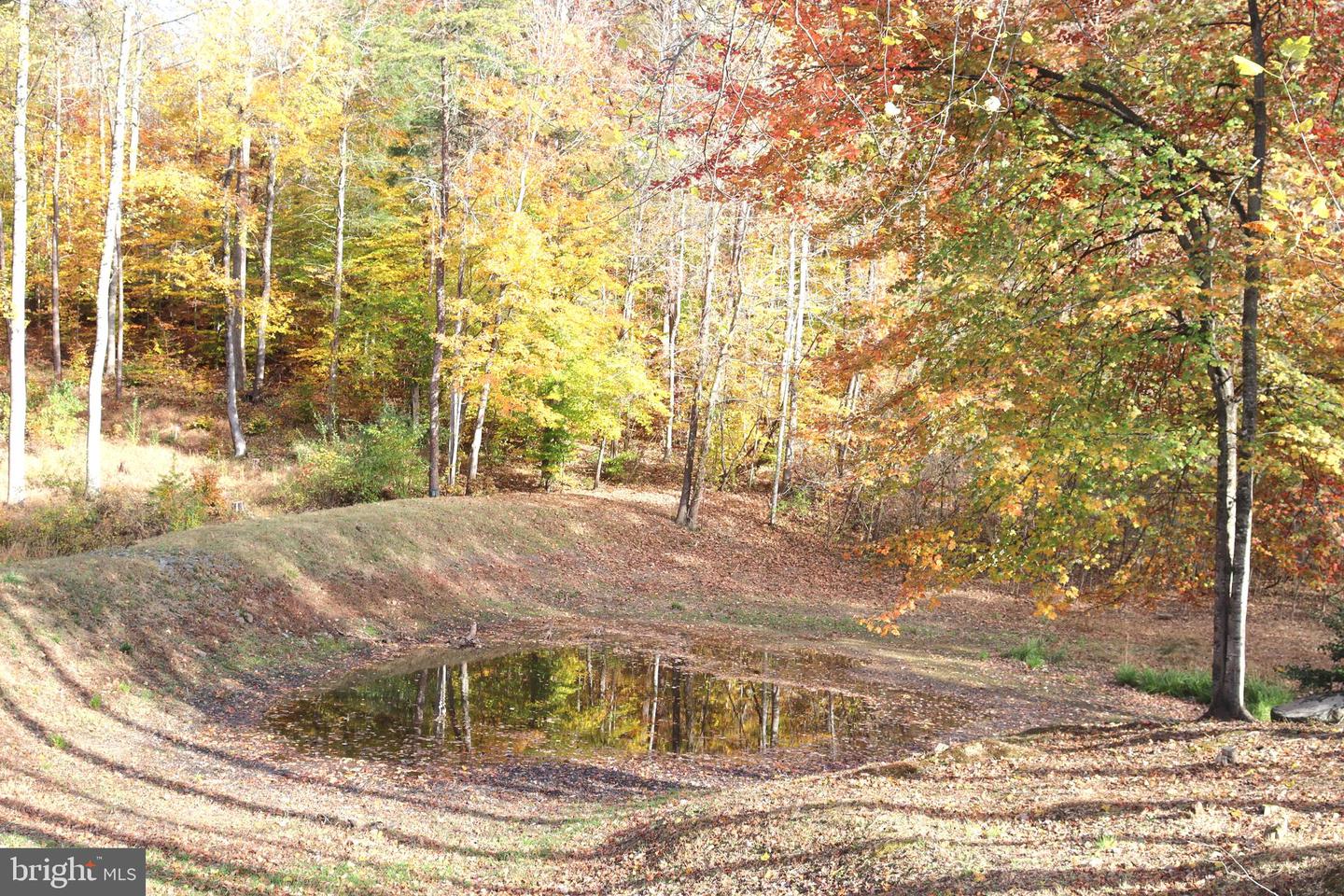 17705 JACKSON PINES LN, BRANDY STATION, Virginia 22714, 3 Bedrooms Bedrooms, ,2 BathroomsBathrooms,Residential,For sale,17705 JACKSON PINES LN,VACU2011982 MLS # VACU2011982 17705 JACKSON PINES LN, BRANDY STATION, Virginia 22714, 3 Bedrooms Bedrooms, ,2 BathroomsBathrooms,Residential,For sale,17705 JACKSON PINES LN,VACU2011982 MLS # VACU2011982