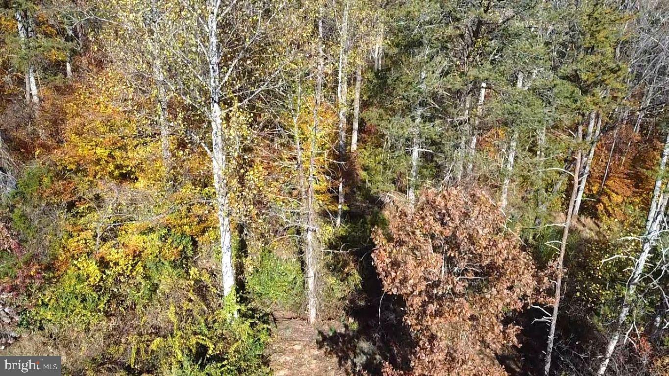 17705 JACKSON PINES LN, BRANDY STATION, Virginia 22714, 3 Bedrooms Bedrooms, ,2 BathroomsBathrooms,Residential,For sale,17705 JACKSON PINES LN,VACU2011982 MLS # VACU2011982 17705 JACKSON PINES LN, BRANDY STATION, Virginia 22714, 3 Bedrooms Bedrooms, ,2 BathroomsBathrooms,Residential,For sale,17705 JACKSON PINES LN,VACU2011982 MLS # VACU2011982