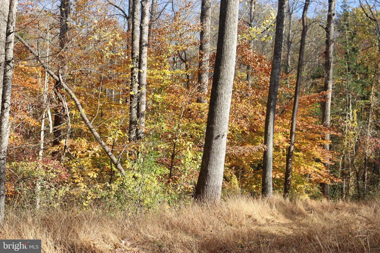 17705 JACKSON PINES LN, BRANDY STATION, Virginia 22714, 3 Bedrooms Bedrooms, ,2 BathroomsBathrooms,Residential,For sale,17705 JACKSON PINES LN,VACU2011982 MLS # VACU2011982 17705 JACKSON PINES LN, BRANDY STATION, Virginia 22714, 3 Bedrooms Bedrooms, ,2 BathroomsBathrooms,Residential,For sale,17705 JACKSON PINES LN,VACU2011982 MLS # VACU2011982