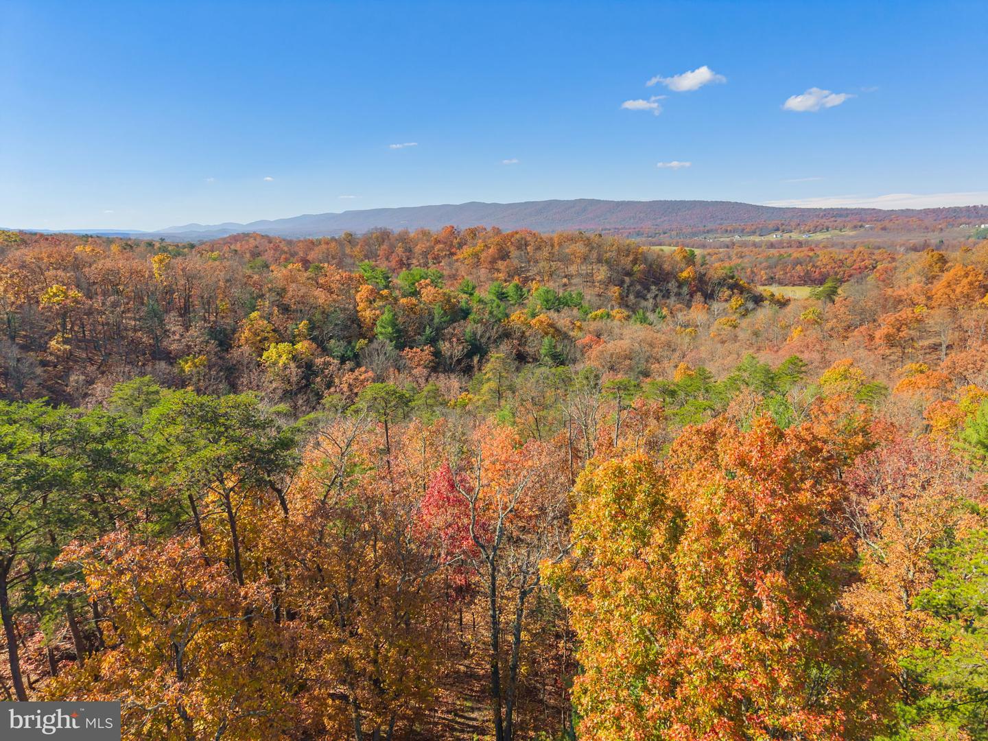 289 WESTVIEW DR, WINCHESTER, Virginia 22603, 3 Bedrooms Bedrooms, ,2 BathroomsBathrooms,Residential,For sale,289 WESTVIEW DR,VAFV2037844 MLS # VAFV2037844 289 WESTVIEW DR, WINCHESTER, Virginia 22603, 3 Bedrooms Bedrooms, ,2 BathroomsBathrooms,Residential,For sale,289 WESTVIEW DR,VAFV2037844 MLS # VAFV2037844