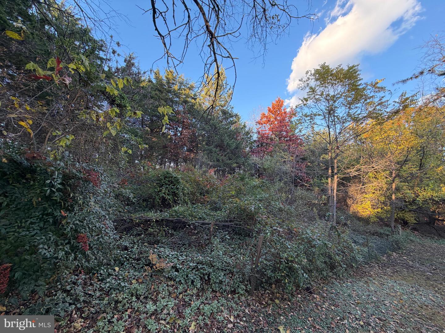 133 CARDINAL LN, WINCHESTER, Virginia 22602, 4 Bedrooms Bedrooms, ,2 BathroomsBathrooms,Residential,For sale,133 CARDINAL LN,VAFV2037846 MLS # VAFV2037846 133 CARDINAL LN, WINCHESTER, Virginia 22602, 4 Bedrooms Bedrooms, ,2 BathroomsBathrooms,Residential,For sale,133 CARDINAL LN,VAFV2037846 MLS # VAFV2037846