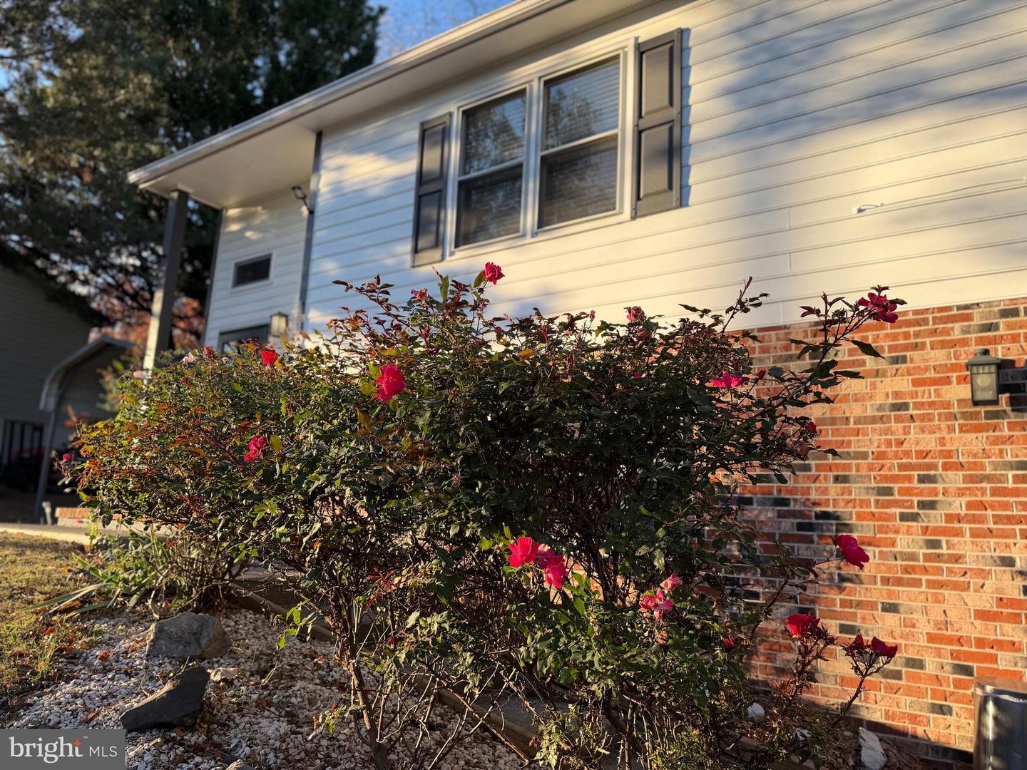 133 CARDINAL LN, WINCHESTER, Virginia 22602, 4 Bedrooms Bedrooms, ,2 BathroomsBathrooms,Residential,For sale,133 CARDINAL LN,VAFV2037846 MLS # VAFV2037846 133 CARDINAL LN, WINCHESTER, Virginia 22602, 4 Bedrooms Bedrooms, ,2 BathroomsBathrooms,Residential,For sale,133 CARDINAL LN,VAFV2037846 MLS # VAFV2037846