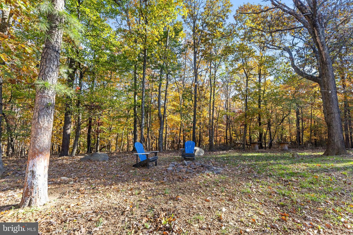 527 GRIMES GOLDEN RD, LINDEN, Virginia 22642, 4 Bedrooms Bedrooms, ,3 BathroomsBathrooms,Residential,For sale,527 GRIMES GOLDEN RD,VAWR2012706 MLS # VAWR2012706 527 GRIMES GOLDEN RD, LINDEN, Virginia 22642, 4 Bedrooms Bedrooms, ,3 BathroomsBathrooms,Residential,For sale,527 GRIMES GOLDEN RD,VAWR2012706 MLS # VAWR2012706