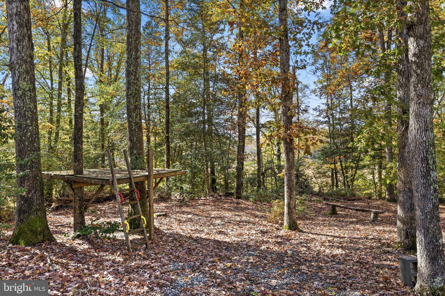 11434 PLEASANT DR, KING GEORGE, Virginia 22485, 4 Bedrooms Bedrooms, ,3 BathroomsBathrooms,Residential,For sale,11434 PLEASANT DR,VAKG2007242 MLS # VAKG2007242 11434 PLEASANT DR, KING GEORGE, Virginia 22485, 4 Bedrooms Bedrooms, ,3 BathroomsBathrooms,Residential,For sale,11434 PLEASANT DR,VAKG2007242 MLS # VAKG2007242