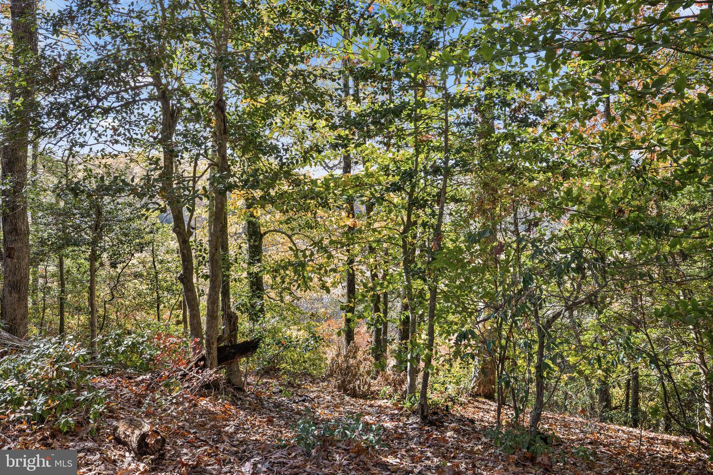 11434 PLEASANT DR, KING GEORGE, Virginia 22485, 4 Bedrooms Bedrooms, ,3 BathroomsBathrooms,Residential,For sale,11434 PLEASANT DR,VAKG2007242 MLS # VAKG2007242 11434 PLEASANT DR, KING GEORGE, Virginia 22485, 4 Bedrooms Bedrooms, ,3 BathroomsBathrooms,Residential,For sale,11434 PLEASANT DR,VAKG2007242 MLS # VAKG2007242