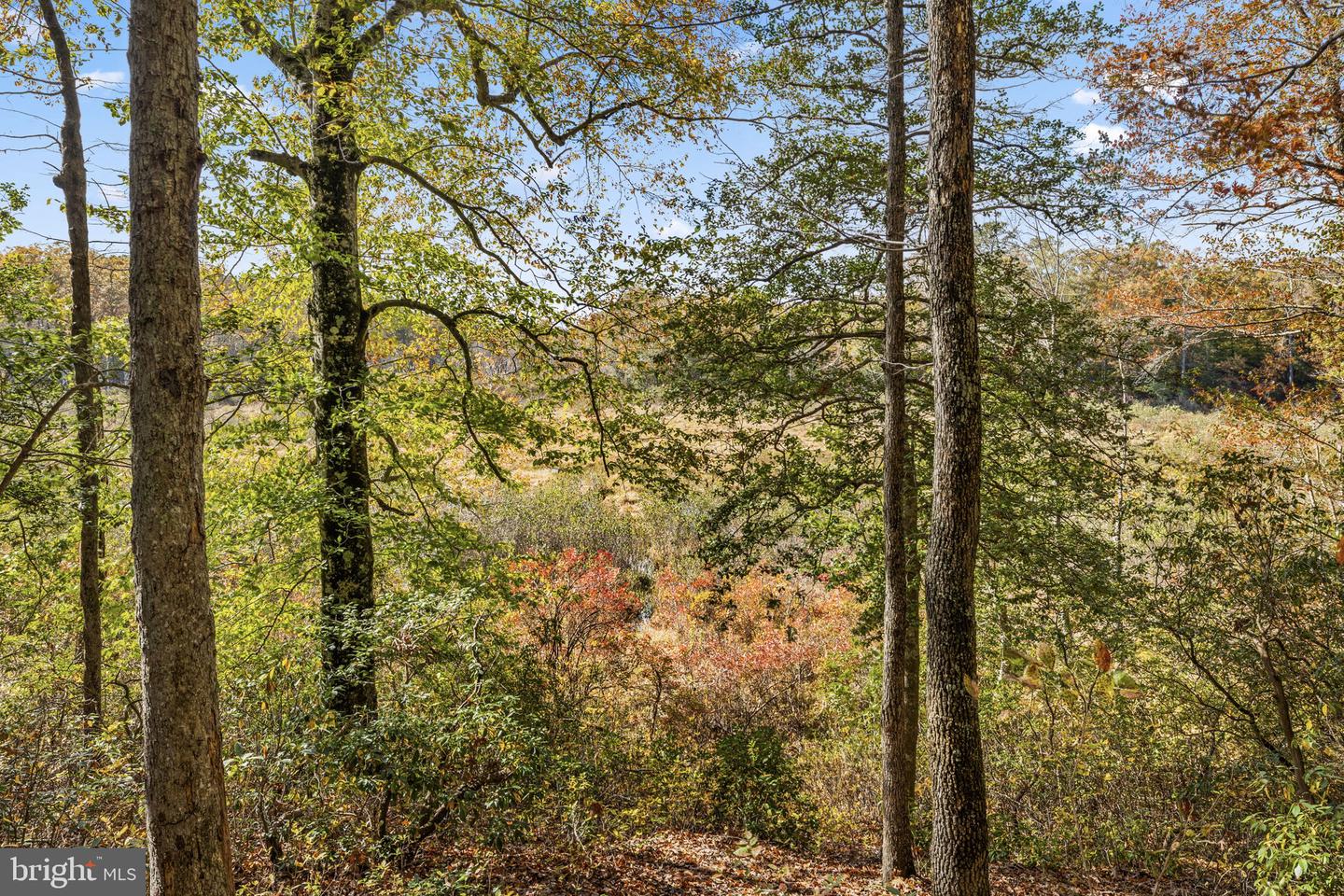 11434 PLEASANT DR, KING GEORGE, Virginia 22485, 4 Bedrooms Bedrooms, ,3 BathroomsBathrooms,Residential,For sale,11434 PLEASANT DR,VAKG2007242 MLS # VAKG2007242 11434 PLEASANT DR, KING GEORGE, Virginia 22485, 4 Bedrooms Bedrooms, ,3 BathroomsBathrooms,Residential,For sale,11434 PLEASANT DR,VAKG2007242 MLS # VAKG2007242