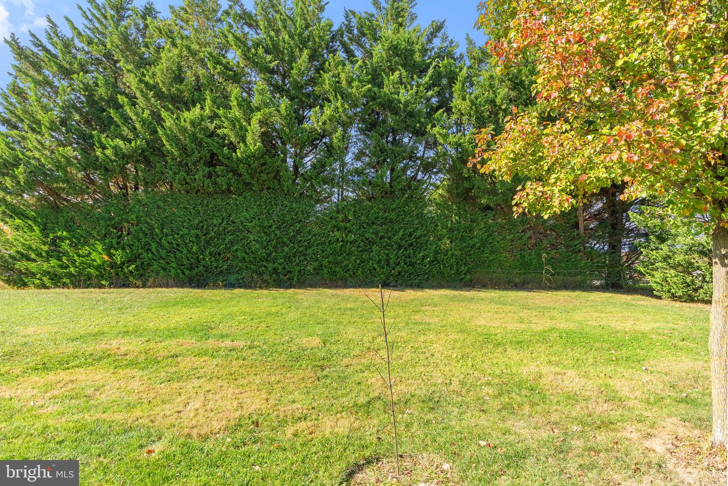 1243 N FREDERICK PIKE, WINCHESTER, Virginia 22603, 3 Bedrooms Bedrooms, ,2 BathroomsBathrooms,Residential,For sale,1243 N FREDERICK PIKE,VAFV2037860 MLS # VAFV2037860 1243 N FREDERICK PIKE, WINCHESTER, Virginia 22603, 3 Bedrooms Bedrooms, ,2 BathroomsBathrooms,Residential,For sale,1243 N FREDERICK PIKE,VAFV2037860 MLS # VAFV2037860