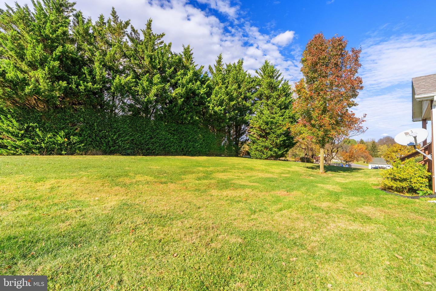 1243 N FREDERICK PIKE, WINCHESTER, Virginia 22603, 3 Bedrooms Bedrooms, ,2 BathroomsBathrooms,Residential,For sale,1243 N FREDERICK PIKE,VAFV2037860 MLS # VAFV2037860 1243 N FREDERICK PIKE, WINCHESTER, Virginia 22603, 3 Bedrooms Bedrooms, ,2 BathroomsBathrooms,Residential,For sale,1243 N FREDERICK PIKE,VAFV2037860 MLS # VAFV2037860