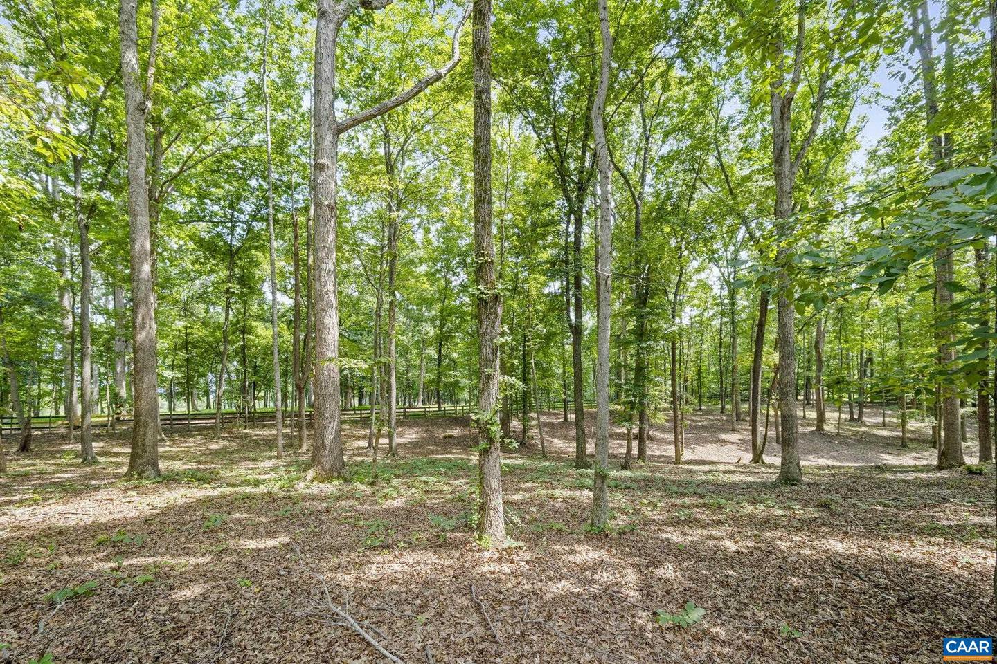 3675 GRAEMONT DR, EARLYSVILLE, Virginia 22936, 3 Bedrooms Bedrooms, ,2 BathroomsBathrooms,Residential,For sale,3675 GRAEMONT DR,670703 MLS # 670703 3675 GRAEMONT DR, EARLYSVILLE, Virginia 22936, 3 Bedrooms Bedrooms, ,2 BathroomsBathrooms,Residential,For sale,3675 GRAEMONT DR,670703 MLS # 670703