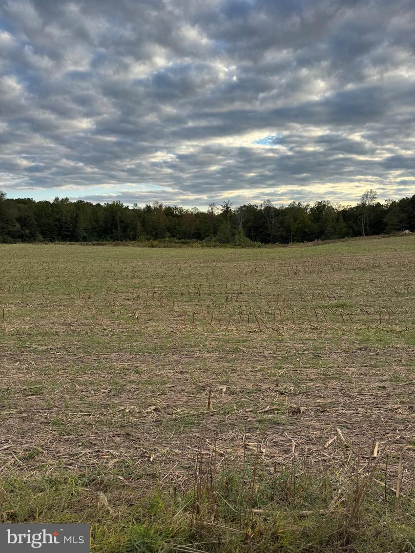 284 BOULDER SPRINGS LN, LOUISA, Virginia 23093, 4 Bedrooms Bedrooms, ,2 BathroomsBathrooms,Residential,For sale,284 BOULDER SPRINGS LN,VALA2008850 MLS # VALA2008850 284 BOULDER SPRINGS LN, LOUISA, Virginia 23093, 4 Bedrooms Bedrooms, ,2 BathroomsBathrooms,Residential,For sale,284 BOULDER SPRINGS LN,VALA2008850 MLS # VALA2008850