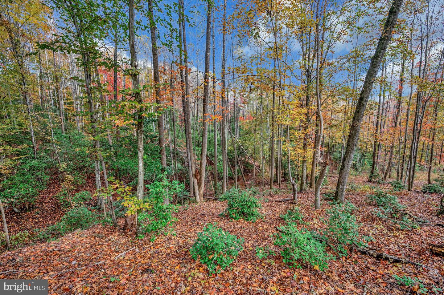 8715 KINGS HIGHWAY, MONTROSS, Virginia 22520, 3 Bedrooms Bedrooms, ,2 BathroomsBathrooms,Residential,For sale,8715 KINGS HIGHWAY,VAWE2010062 MLS # VAWE2010062 8715 KINGS HIGHWAY, MONTROSS, Virginia 22520, 3 Bedrooms Bedrooms, ,2 BathroomsBathrooms,Residential,For sale,8715 KINGS HIGHWAY,VAWE2010062 MLS # VAWE2010062