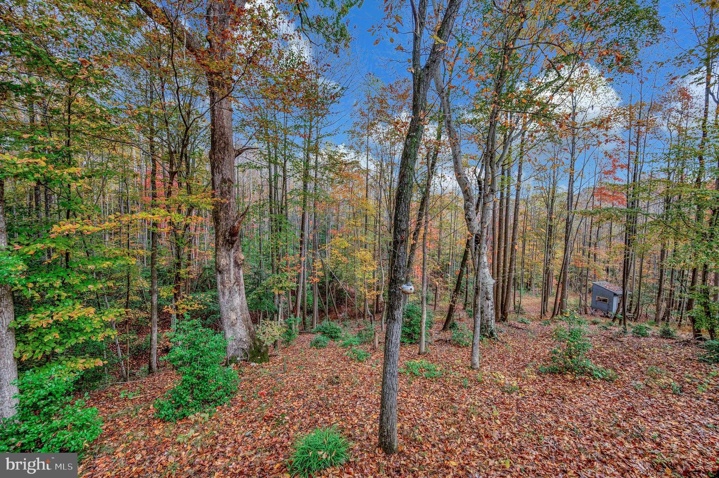 8715 KINGS HIGHWAY, MONTROSS, Virginia 22520, 3 Bedrooms Bedrooms, ,2 BathroomsBathrooms,Residential,For sale,8715 KINGS HIGHWAY,VAWE2010062 MLS # VAWE2010062 8715 KINGS HIGHWAY, MONTROSS, Virginia 22520, 3 Bedrooms Bedrooms, ,2 BathroomsBathrooms,Residential,For sale,8715 KINGS HIGHWAY,VAWE2010062 MLS # VAWE2010062