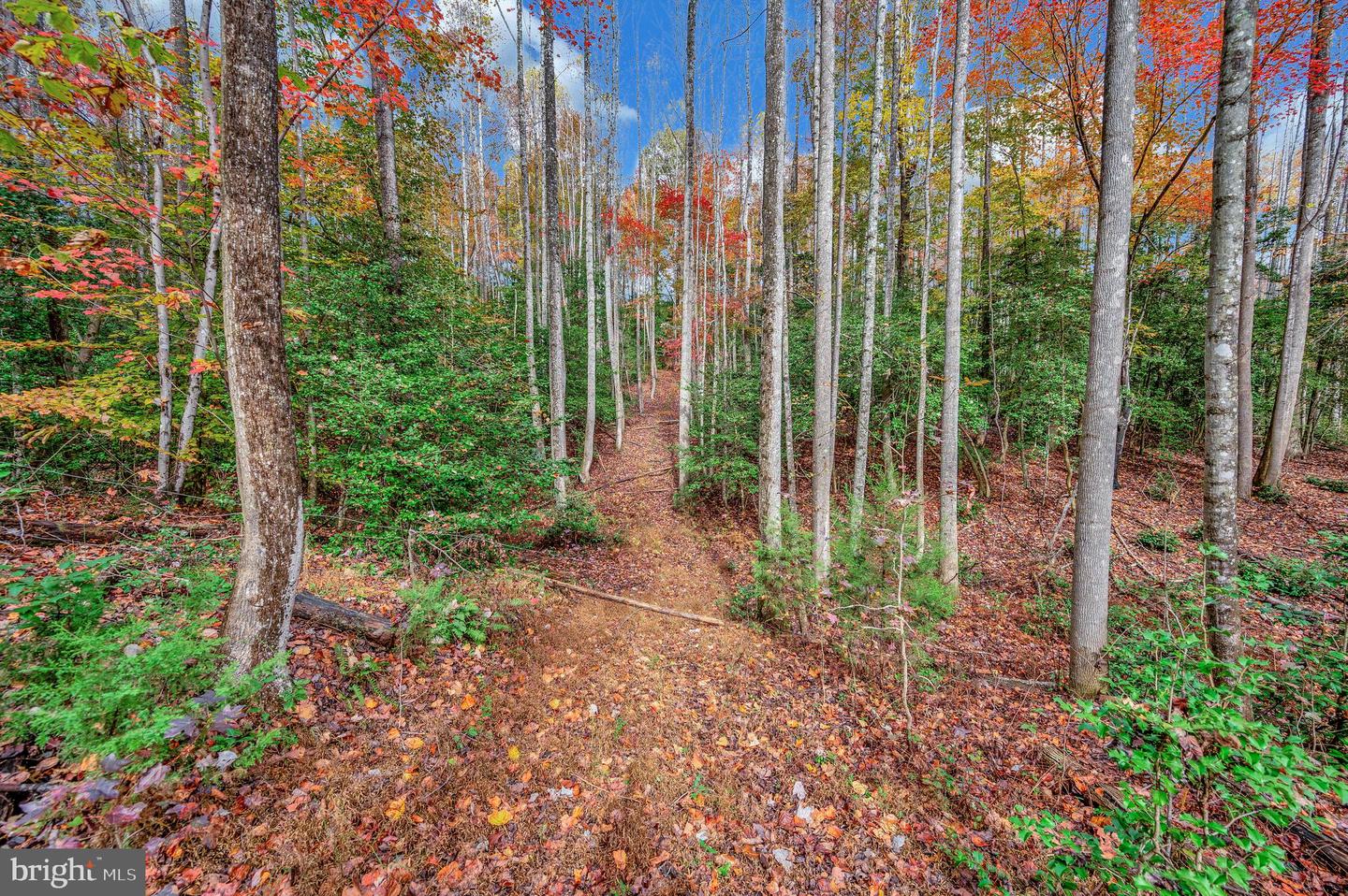 8715 KINGS HIGHWAY, MONTROSS, Virginia 22520, 3 Bedrooms Bedrooms, ,2 BathroomsBathrooms,Residential,For sale,8715 KINGS HIGHWAY,VAWE2010062 MLS # VAWE2010062 8715 KINGS HIGHWAY, MONTROSS, Virginia 22520, 3 Bedrooms Bedrooms, ,2 BathroomsBathrooms,Residential,For sale,8715 KINGS HIGHWAY,VAWE2010062 MLS # VAWE2010062