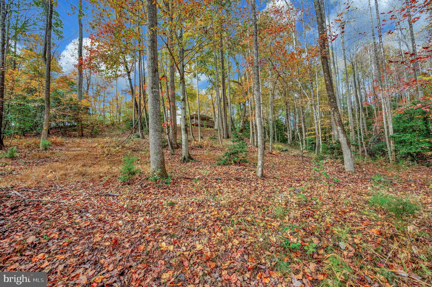 8715 KINGS HIGHWAY, MONTROSS, Virginia 22520, 3 Bedrooms Bedrooms, ,2 BathroomsBathrooms,Residential,For sale,8715 KINGS HIGHWAY,VAWE2010062 MLS # VAWE2010062 8715 KINGS HIGHWAY, MONTROSS, Virginia 22520, 3 Bedrooms Bedrooms, ,2 BathroomsBathrooms,Residential,For sale,8715 KINGS HIGHWAY,VAWE2010062 MLS # VAWE2010062