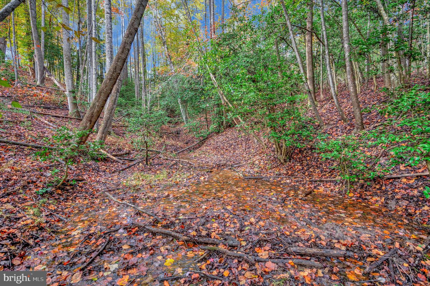 8715 KINGS HIGHWAY, MONTROSS, Virginia 22520, 3 Bedrooms Bedrooms, ,2 BathroomsBathrooms,Residential,For sale,8715 KINGS HIGHWAY,VAWE2010062 MLS # VAWE2010062 8715 KINGS HIGHWAY, MONTROSS, Virginia 22520, 3 Bedrooms Bedrooms, ,2 BathroomsBathrooms,Residential,For sale,8715 KINGS HIGHWAY,VAWE2010062 MLS # VAWE2010062