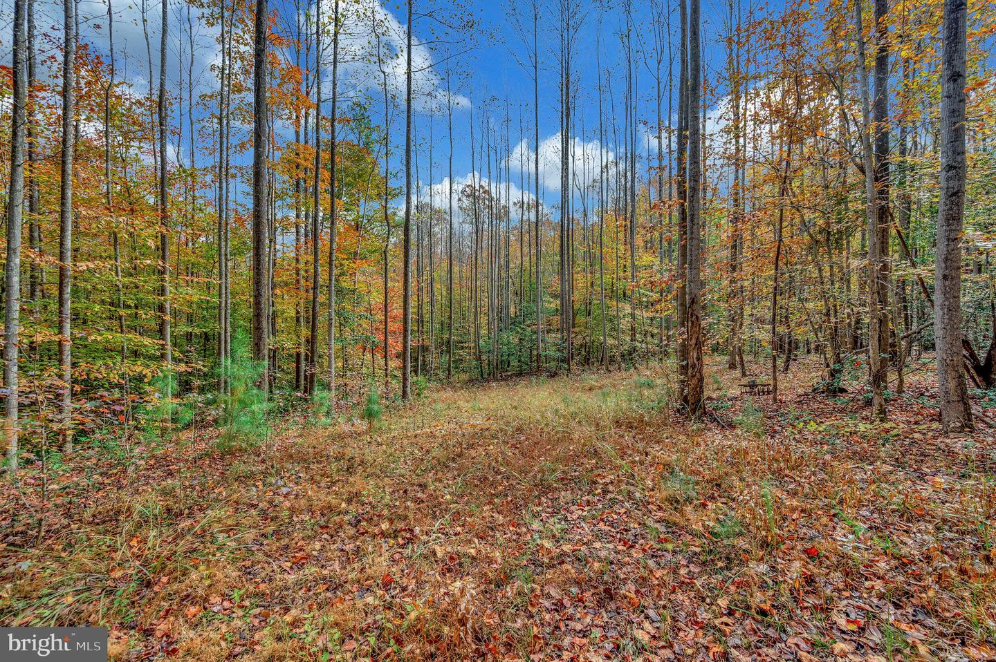 8715 KINGS HIGHWAY, MONTROSS, Virginia 22520, 3 Bedrooms Bedrooms, ,2 BathroomsBathrooms,Residential,For sale,8715 KINGS HIGHWAY,VAWE2010062 MLS # VAWE2010062 8715 KINGS HIGHWAY, MONTROSS, Virginia 22520, 3 Bedrooms Bedrooms, ,2 BathroomsBathrooms,Residential,For sale,8715 KINGS HIGHWAY,VAWE2010062 MLS # VAWE2010062