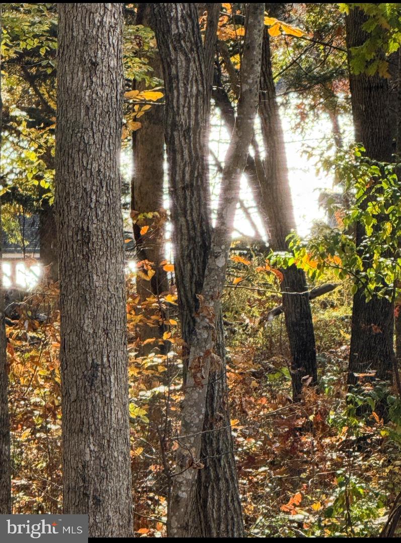 6820 JOHN TAYLOR LN, ORANGE, Virginia 22960, 4 Bedrooms Bedrooms, ,3 BathroomsBathrooms,Residential,For sale,6820 JOHN TAYLOR LN,VASP2037440 MLS # VASP2037440 6820 JOHN TAYLOR LN, ORANGE, Virginia 22960, 4 Bedrooms Bedrooms, ,3 BathroomsBathrooms,Residential,For sale,6820 JOHN TAYLOR LN,VASP2037440 MLS # VASP2037440