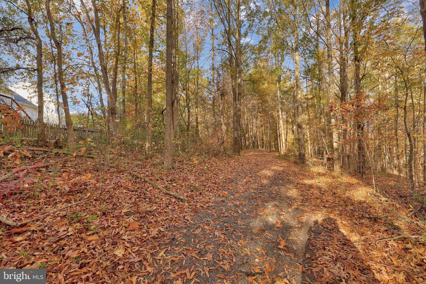 6803 ROBNEL CT, FREDERICKSBURG, Virginia 22407, 4 Bedrooms Bedrooms, ,3 BathroomsBathrooms,Residential,For sale,6803 ROBNEL CT,VASP2037448 MLS # VASP2037448 6803 ROBNEL CT, FREDERICKSBURG, Virginia 22407, 4 Bedrooms Bedrooms, ,3 BathroomsBathrooms,Residential,For sale,6803 ROBNEL CT,VASP2037448 MLS # VASP2037448