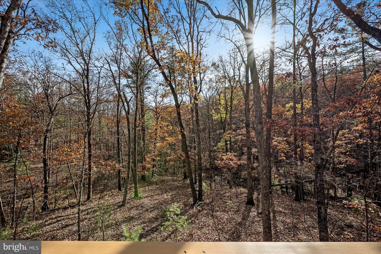 33 HOLLY CT, MT JACKSON, Virginia 22842, 3 Bedrooms Bedrooms, ,2 BathroomsBathrooms,Residential,For sale,33 HOLLY CT,VASH2012934 MLS # VASH2012934 33 HOLLY CT, MT JACKSON, Virginia 22842, 3 Bedrooms Bedrooms, ,2 BathroomsBathrooms,Residential,For sale,33 HOLLY CT,VASH2012934 MLS # VASH2012934