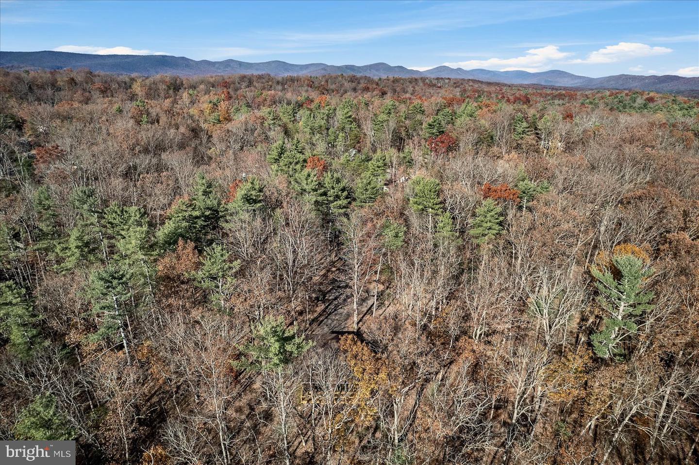 33 HOLLY CT, MT JACKSON, Virginia 22842, 3 Bedrooms Bedrooms, ,2 BathroomsBathrooms,Residential,For sale,33 HOLLY CT,VASH2012934 MLS # VASH2012934 33 HOLLY CT, MT JACKSON, Virginia 22842, 3 Bedrooms Bedrooms, ,2 BathroomsBathrooms,Residential,For sale,33 HOLLY CT,VASH2012934 MLS # VASH2012934