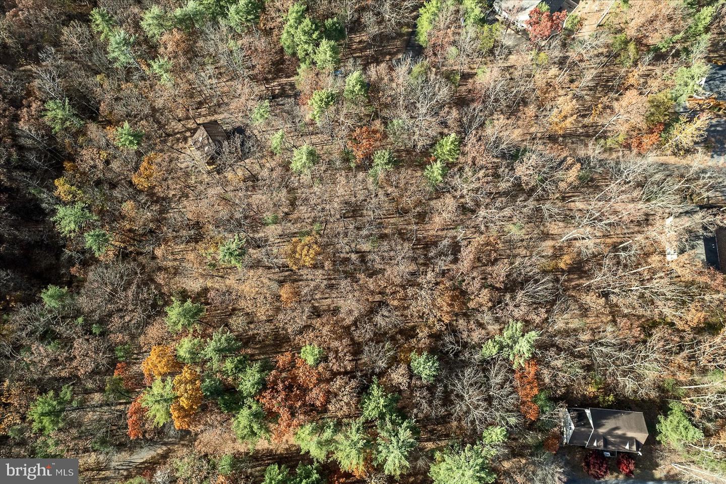 33 HOLLY CT, MT JACKSON, Virginia 22842, 3 Bedrooms Bedrooms, ,2 BathroomsBathrooms,Residential,For sale,33 HOLLY CT,VASH2012934 MLS # VASH2012934 33 HOLLY CT, MT JACKSON, Virginia 22842, 3 Bedrooms Bedrooms, ,2 BathroomsBathrooms,Residential,For sale,33 HOLLY CT,VASH2012934 MLS # VASH2012934