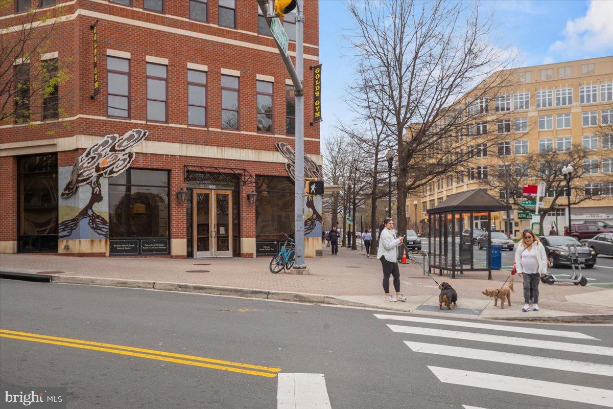 2504 WASHINGTON BLVD, ARLINGTON, Virginia 22201, 5 Bedrooms Bedrooms, ,5 BathroomsBathrooms,Residential,For sale,2504 WASHINGTON BLVD,VAAR2065750 MLS # VAAR2065750 2504 WASHINGTON BLVD, ARLINGTON, Virginia 22201, 5 Bedrooms Bedrooms, ,5 BathroomsBathrooms,Residential,For sale,2504 WASHINGTON BLVD,VAAR2065750 MLS # VAAR2065750